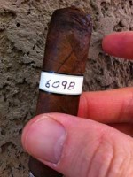 illusione 4/2g 6098